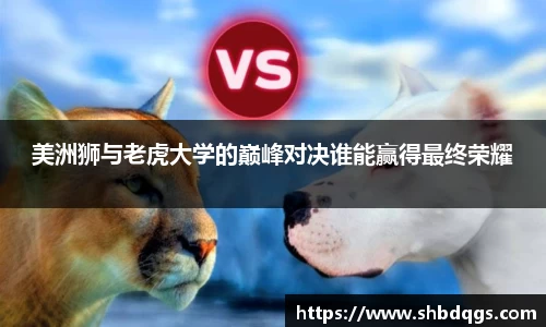 美洲狮与老虎大学的巅峰对决谁能赢得最终荣耀